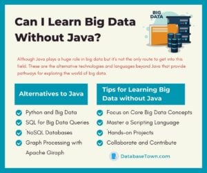 Can I Learn Big Data Without Java?