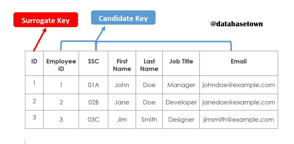 candidate key and surrogate key
