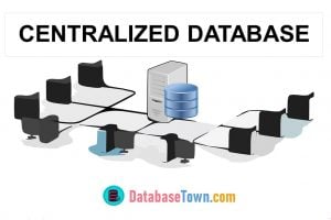 What is Centralized Database? | Functions, Advantages & Disadvantages