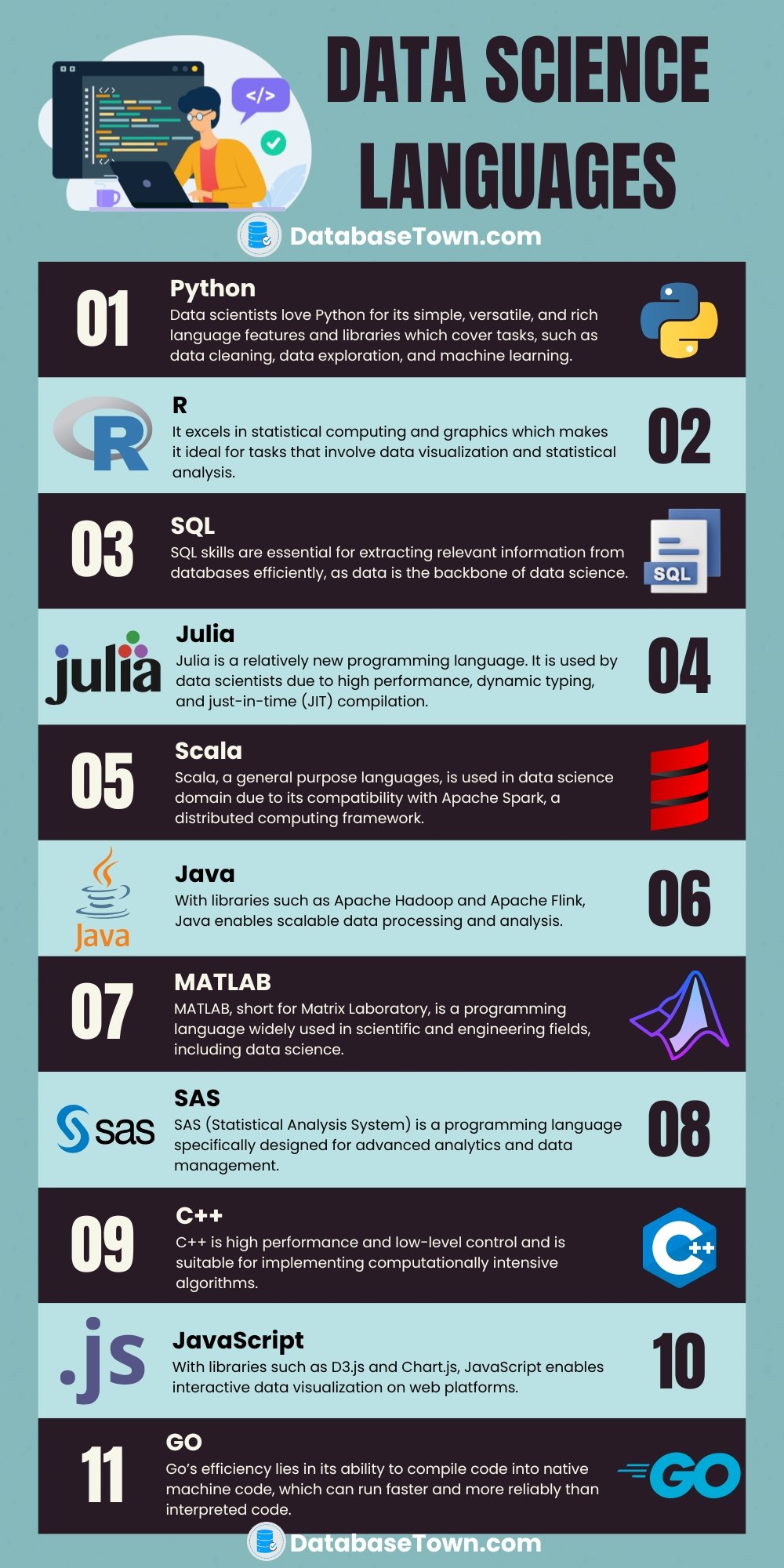 Data Science Languages 11 Programming Languages for Data Scientists