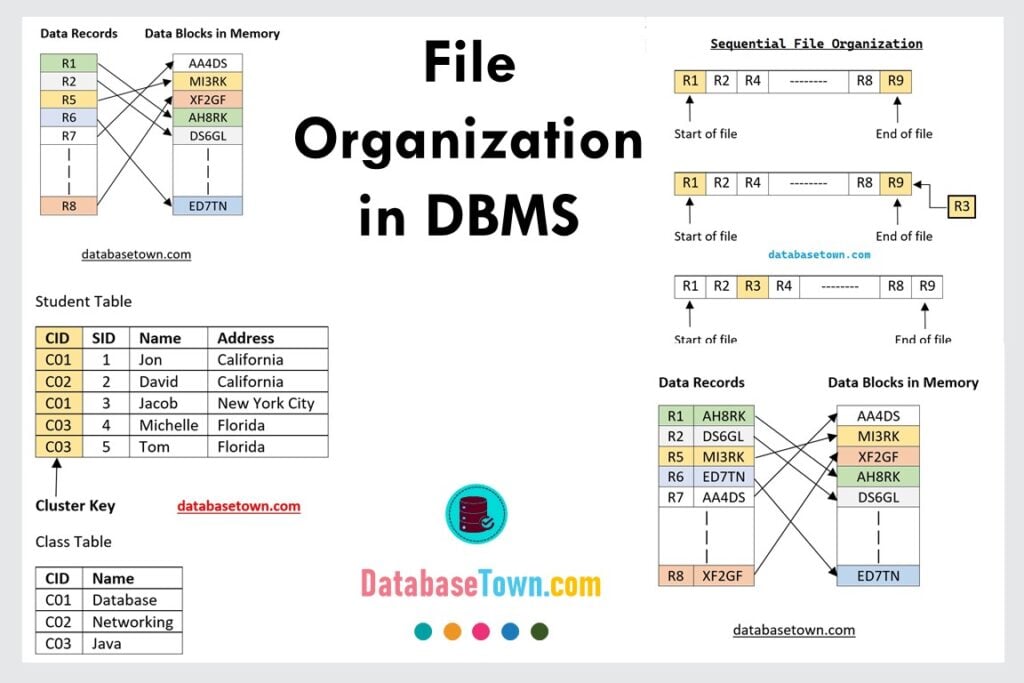 file organization in DBMS