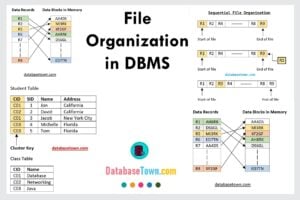File Organization in DBMS | What are the four types of file Organization?