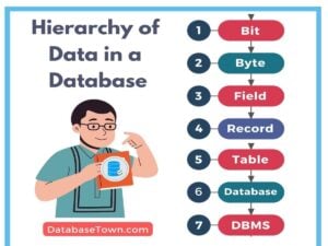 Hierarchy of Data in a Database (from Smallest to Largest Levels)