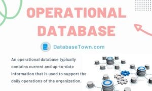 Operational Database (Advantages, Disadvantages, Features & Examples)