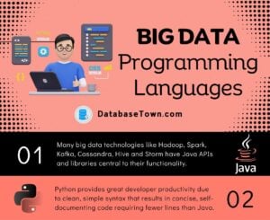 8 Programming Languages for Big Data