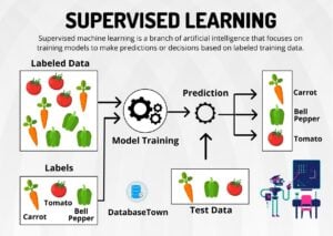 Supervised Learning: Algorithms, Examples, and How It Works