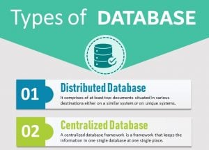What is database? 9 Different Types of Databases with Examples