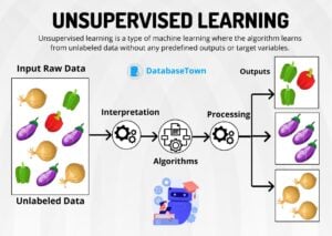Unsupervised Learning: Types, Applications & Advantages