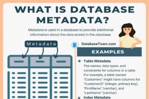 What is Database Metadata? (Examples & Types)