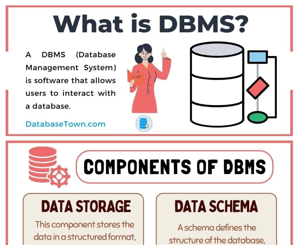 What is DBMS - Components of DBMS (database management system)