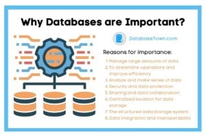Why are Databases Important?